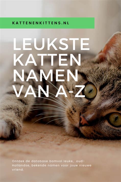 Kattennamen